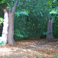 09-09-26-27-pinewood-studios-006