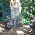 09-09-26-27-pinewood-studios-058