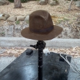 dcp_1558.jpg