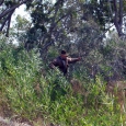 dcp_1576.jpg