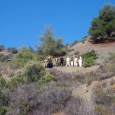 dcp_0012.jpg