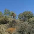 p1010029.jpg