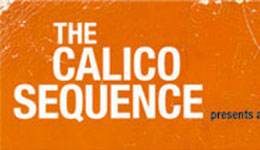 The Calico Sequence - Ain’t no Sunshine